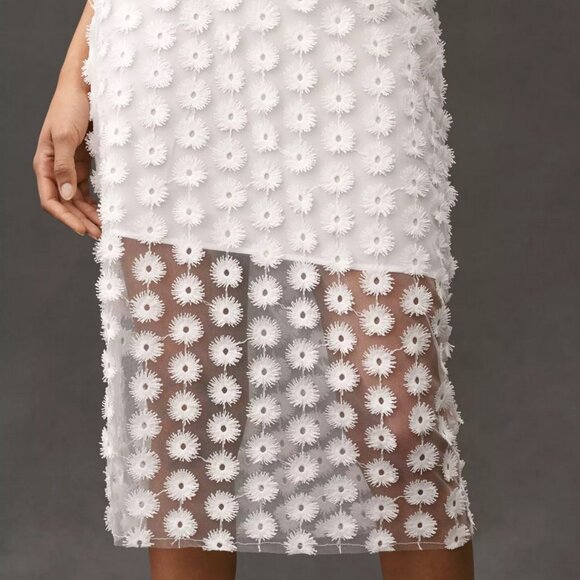 NWT By Anthropologie 3D Texture Sheer Slip Midi Skirt size Small - Picture 9 of 11